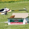 6. Eierfliegen MSG Gechingen