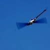 6. Eierfliegen MSG Gechingen