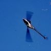 6. Eierfliegen MSG Gechingen