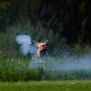 6. Eierfliegen MSG Gechingen