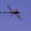 6. Eierfliegen MSG Gechingen