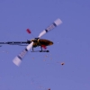 6. Eierfliegen MSG Gechingen