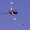 6. Eierfliegen MSG Gechingen