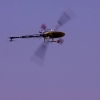 6. Eierfliegen MSG Gechingen