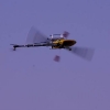 6. Eierfliegen MSG Gechingen