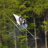 6. Eierfliegen MSG Gechingen