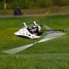6. Eierfliegen MSG Gechingen