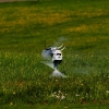6. Eierfliegen MSG Gechingen