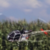 25 Jahre DMFV Hubschrauber in Offenbach