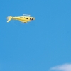 25 Jahre DMFV Hubschrauber in Offenbach