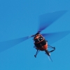 25 Jahre DMFV Hubschrauber in Offenbach