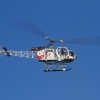 25 Jahre DMFV Hubschrauber in Offenbach