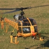 25 Jahre DMFV Hubschrauber in Offenbach