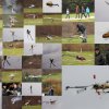 7. Eierfliegen