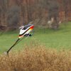 7. Eierfliegen
