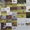 7. Eierfliegen