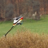 7. Eierfliegen