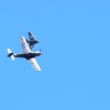 7. Warbirdtreffen / Flugtag MFC-Oberhausen e.V. 2014