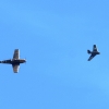 7. Warbirdtreffen / Flugtag MFC-Oberhausen e.V. 2014