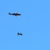 7. Warbirdtreffen / Flugtag MFC-Oberhausen e.V. 2014