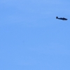 7. Warbirdtreffen / Flugtag MFC-Oberhausen e.V. 2014