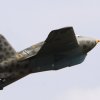 7. Warbirdtreffen MFC-Oberhausen e.V. 2014
