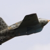 7. Warbirdtreffen MFC-Oberhausen e.V. 2014