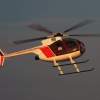 8. DMFV Scale/Semi-Scale Hubschrauber Meeting