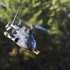 8. DMFV Scale/Semi-Scale Hubschrauber Meeting