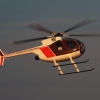 8. DMFV Scale/Semi-Scale Hubschrauber Meeting