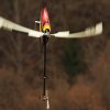 8. Eierfliegen MSG Gechingen