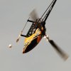 8. Eierfliegen MSG Gechingen