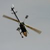 8. Eierfliegen MSG Gechingen