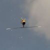 8. Eierfliegen MSG Gechingen