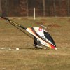 8. Eierfliegen MSG Gechingen