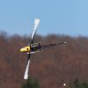 8. Eierfliegen MSG Gechingen
