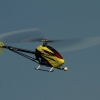 8. Eierfliegen MSG Gechingen