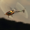 8. Eierfliegen MSG Gechingen