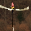 8. Eierfliegen MSG Gechingen