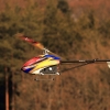8. Eierfliegen MSG Gechingen