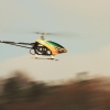 8. Eierfliegen MSG Gechingen