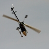 8. Eierfliegen MSG Gechingen