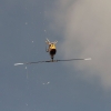 8. Eierfliegen MSG Gechingen