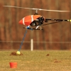 8. Eierfliegen MSG Gechingen