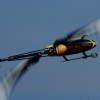 8. Eierfliegen MSG Gechingen
