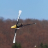 8. Eierfliegen MSG Gechingen