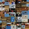 8. Eierfliegen MSG Gechingen