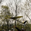 8. KirchheimOpen-Wettbewerb F3B Hülben .2011