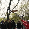 8. KirchheimOpen-Wettbewerb F3B Hülben .2011