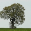 8. KirchheimOpen-Wettbewerb F3B Hülben